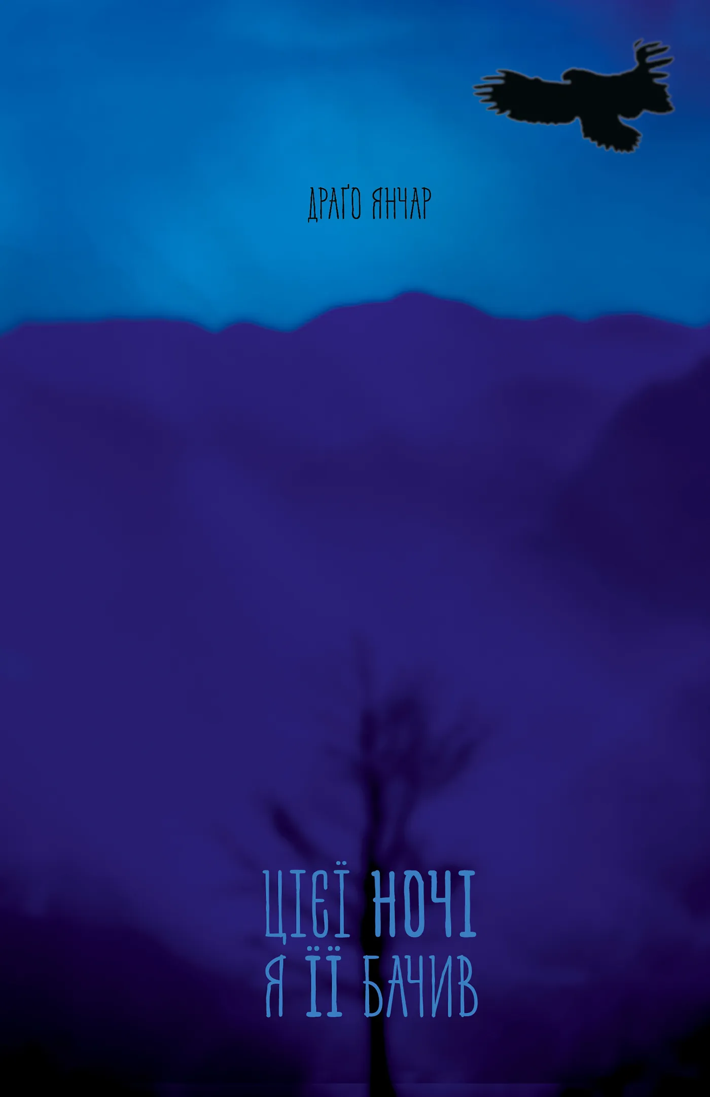 Цієї ночі я її бачив