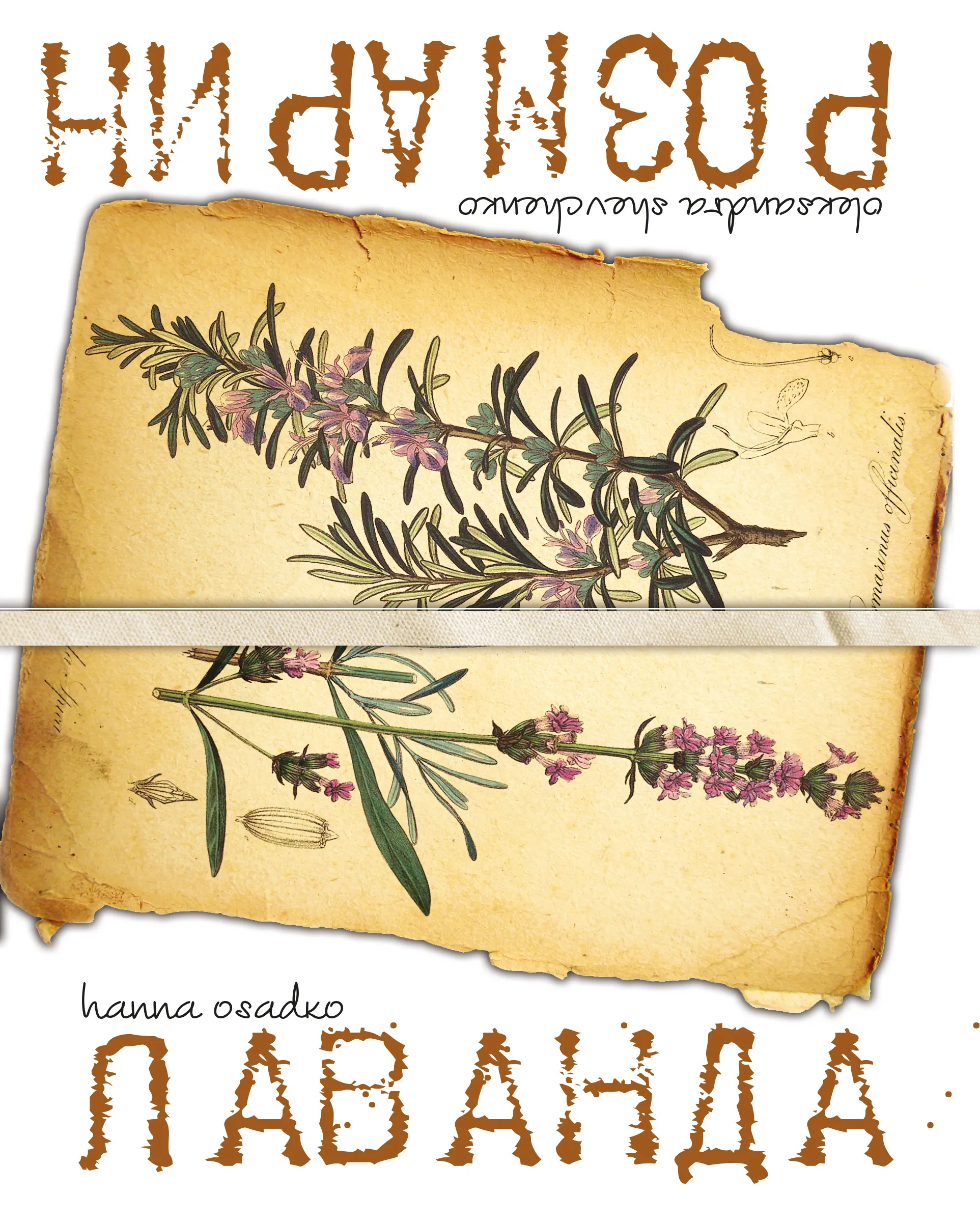 Лаванда і Розмарин