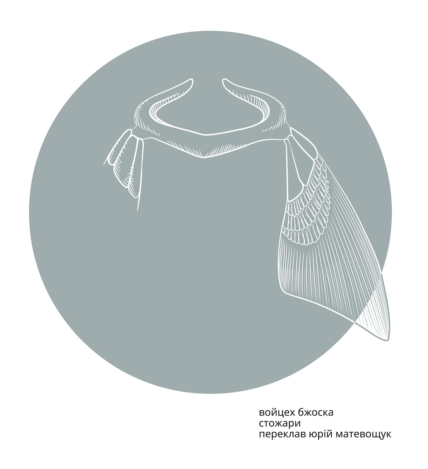 Войцех Бжоска. Стожари. Автор — Войцех Бжоска. 