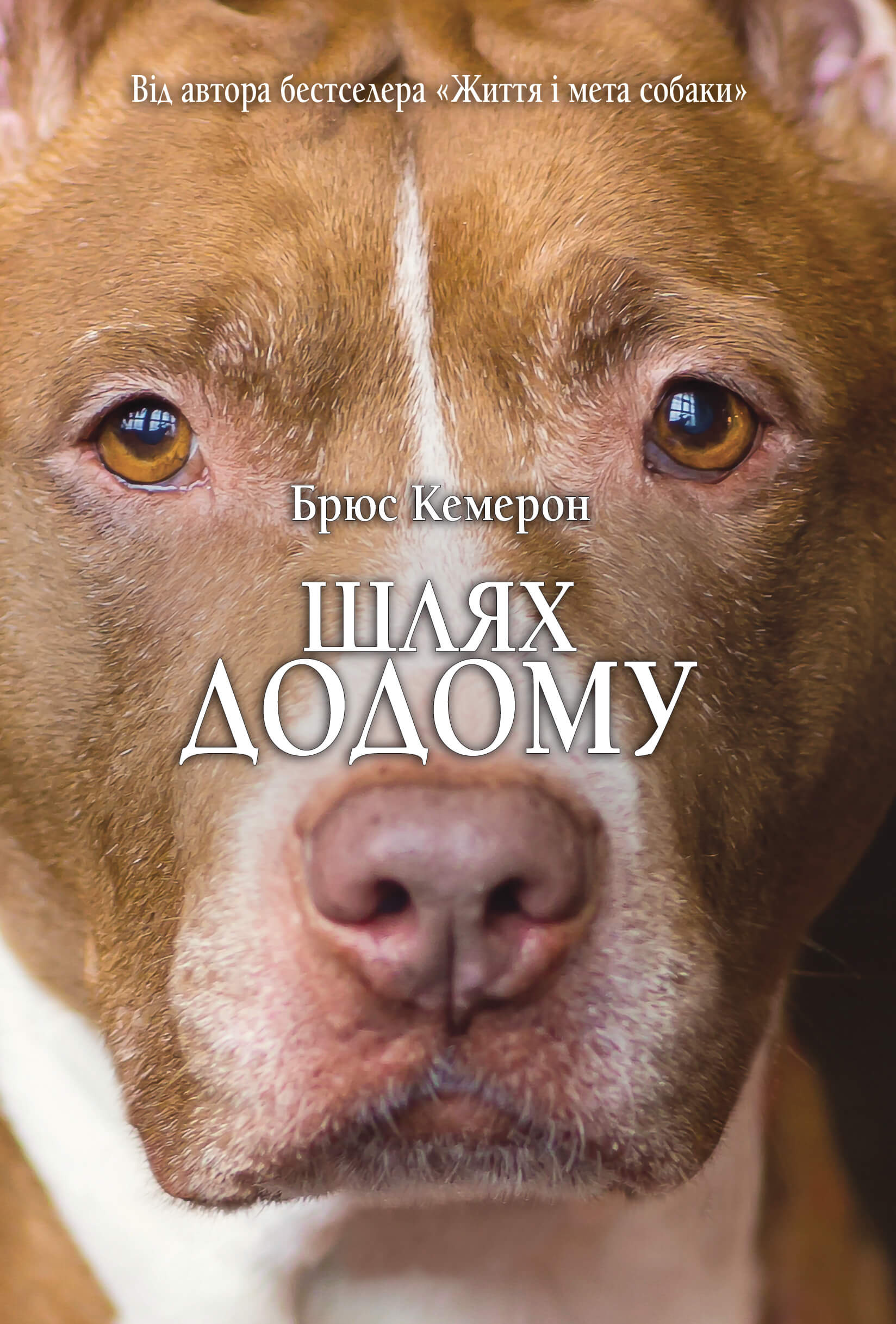 Шлях додому. Автор — Брюс Кемерон. 